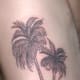 palm-tree-tattoos-and-designs-palm-tree-tattoo-meanings-and-ideas-palm-tree-tattoo-pictures