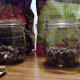 I added 1 scoop using the spoon shown of Orchid mix containing activated charcoal on top of the gravel.