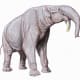 life-on-earth-during-the-miocene-epoch