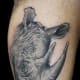 rhino-tattoos-and-designs-rhino-tattoo-meanings-and-ideas-rhino-tattoo-pictures