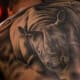 rhino-tattoos-and-designs-rhino-tattoo-meanings-and-ideas-rhino-tattoo-pictures
