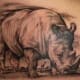 rhino-tattoos-and-designs-rhino-tattoo-meanings-and-ideas-rhino-tattoo-pictures