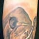 rhino-tattoos-and-designs-rhino-tattoo-meanings-and-ideas-rhino-tattoo-pictures