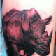 rhino-tattoos-and-designs-rhino-tattoo-meanings-and-ideas-rhino-tattoo-pictures
