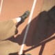 The Toe-Heel Line, which determines the width of the Neutral Bow Stance.