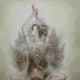 Meditative Bodhisattva