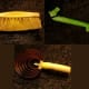 Grooming Tools: Soft Brush, Hoof Pick, Curry Comb.