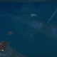 Archaeology 101 - Gameplay 02: Far Cry 3 Relic 34, Shark 4.