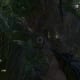 Archaeology 101 - Gameplay 04: Far Cry 3 Relic 3, Spider 3.
