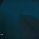 Archaeology 101 - Gameplay 03: Far Cry 3 Relic 34, Shark 4.