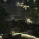 Archaeology 101 - Gameplay 01: Far Cry 3 Relic 83, Boar 23.
