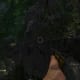 Archaeology 101 - Gameplay 03: Far Cry 3 Relic 3, Spider 3.