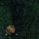 Archaeology 101 - Gameplay 03: Far Cry 3 Relic 1, Spider 1.