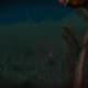Archaeology 101 - Gameplay 04: Far Cry 3 Relic 32, Shark 2.