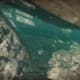 Archaeology 101 - Gameplay 04: Far Cry 3 Relic 31, Shark 1.