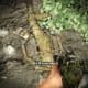 Dead Letters - Gameplay 04: Far Cry 3 Letters of the Lost #3, Mori's Letter.