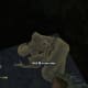 Dead Letters - Gameplay 03: Far Cry 3 Letters of the Lost #4, Ren's Letter.