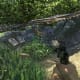 Dead Letters - Gameplay 03: Far Cry 3 Letters of the Lost #8, Mogi's Fourth Letter.