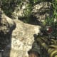 Archaeology 101 - Gameplay 03: Far Cry 3 Relic 69, Boar 9.