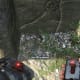 Archaeology 101 - Gameplay 02: Far Cry 3 Relic 80, Boar 20.