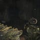 Archaeology 101 - Gameplay 03: Far Cry 3 Relic 89, Boar 29.