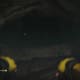Archaeology 101 - Gameplay 07: Far Cry 3 Relic 41, Shark 11.