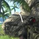 Archaeology 101 - Gameplay 01: Far Cry 3 Relic 114, Heron 24.