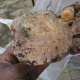 esclata-sang-and-mushroom-picking-in-mallorca