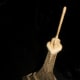 recreating-the-eiffel-tower-with-wooden-sticks