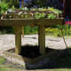 communal-vegetable-gardening