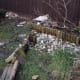 Clearing part of a friend's garden ready for building a small retaining wall for raised vegetable plot.
