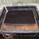 Seeds sown in heated propagator.