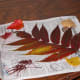 Pressing Autumn leaves in between newspapers