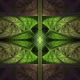 fractals-apophysis-video-tutorial