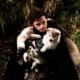 Direwolf pups found