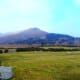 Sandy Brae, Newry & Mourne