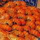 Shelllfish