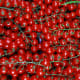 Tiny Tomatoes on the Vine