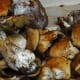 Mushrooms
