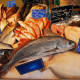 Mixed Whole Fish