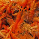 Prawns