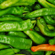 Green Chilli