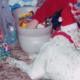 You can see that the Big Bone Toy Box got off to a good start on Christmas Day.