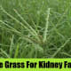 signs-of-kidney-disease