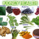 Foods that are good for kidney disease