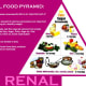 Renal Diet Food Pyramid