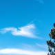 It is illegal in Germany for an office to not have a view of the sky.