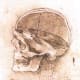 The Sensus Communis or Pineal Gland was where Leonardo thought the soul resided.