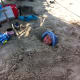 Isla Blanca RV Park South Padre Island TX