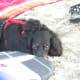 South Padre Island TX